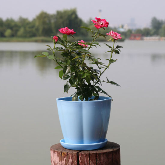 Image de Bleu - Style4 Jardinage Pots De Fleurs avec Plateau Bas en Résine Plastique