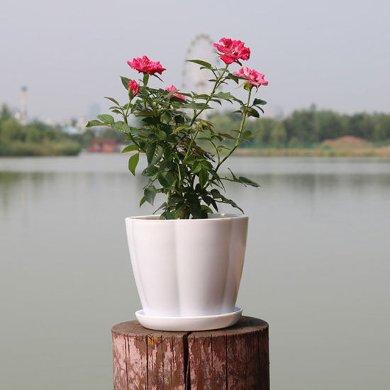 Image de Blanc - Style26 Pots de fleurs en résine colorée Planteurs ronds Plateaux de pots Pots en plastique Petits pots créatifs pour plantes succulentes Décor de jardin