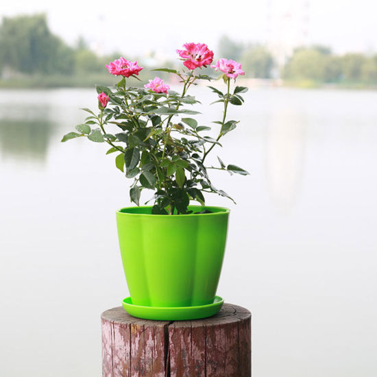 Image de Vert - Pots à fleurs en résine colorée Style40 Planteurs ronds Plateaux à pots Pots en plastique Petits pots créatifs pour plantes succulentes Décor de jardin