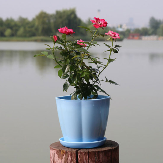 Image de Bleu - Style44 Coloré Résine Fleur Pots Plantes Rondes Plateaux Plateaux En Plastique Pots Créatif Petits Pots Pour Plantes Succulentes Jardin Décor