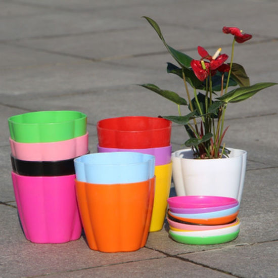 Image de Blanc - Pots à fleurs en résine colorée Style46 Plantés ronds Plateaux à pots Pots en plastique Petits pots créatifs pour plantes succulentes Décor de jardin