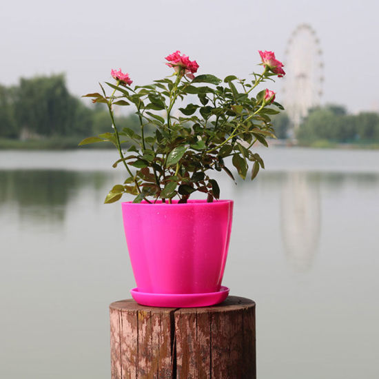Image de Fuchsia - Style47 Pots de fleurs en résine colorée Planteurs ronds Plateaux de pots Pots en plastique Petits pots créatifs pour plantes succulentes Décor de jardin