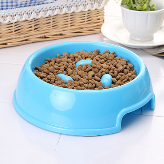 Image de Bleu - Bol pour chien, chat, nourriture, eau, nourriture, aliment