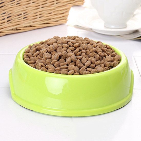 Bild von Grün - Haustier Hund Katze Tier Nahrung Wasser Teller Spielraum bewegliche Zufuhr Futterschüssel