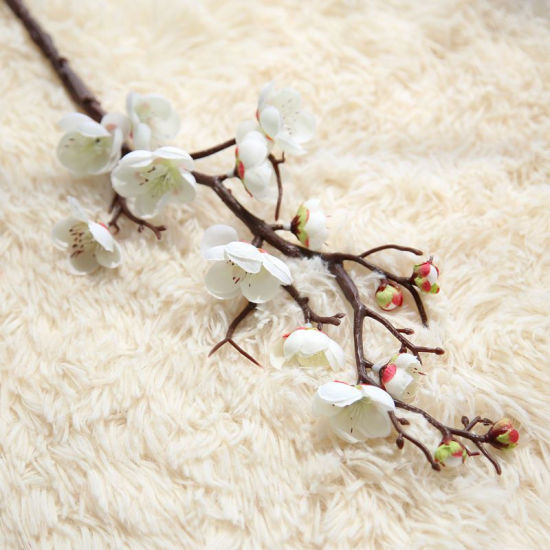 Picture of Real Dried Flower Artificial Flower White 55cm, 1 Bundle ( 20 PCs/Bundle)