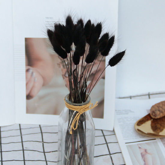 Picture of Real Dried Flower Artificial Flower Home Decoration Black 55cm, 1 Bundle ( 20 PCs/Bundle)