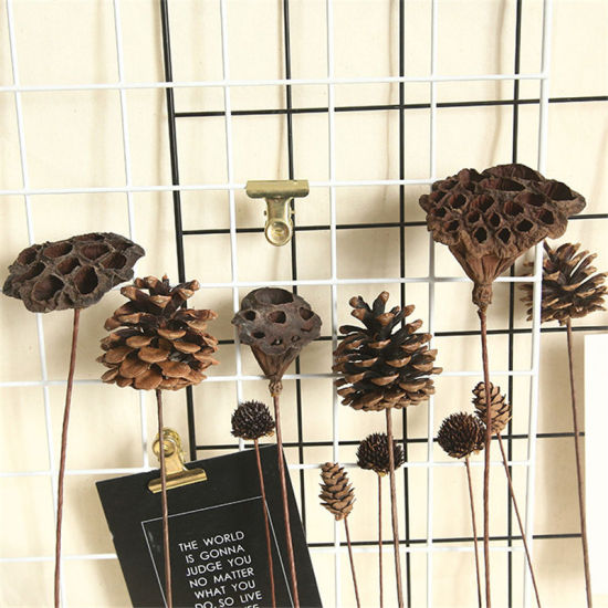 Imagen de Coffee - Natural Dried Flower Pine Cone Acorn Wholesale Artificial Flower For Home Christmas DIY Garland Wreath Wedding Decoration 50CM Long，5 sticks