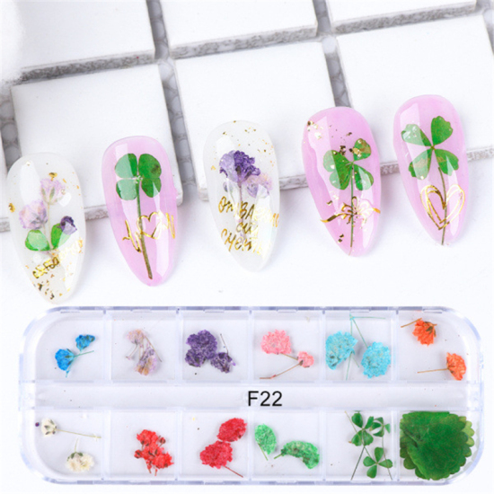 Picture of Real Dried Flower Nail Art Decoration DIY Craft Mixed Color 1 Box