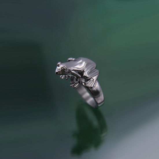 Bild von Punk Gothic Unverstellbare Ringe Antik Silber Farbe Frosch Tier 18,9 mm (US-Größe 9), 1 Stück