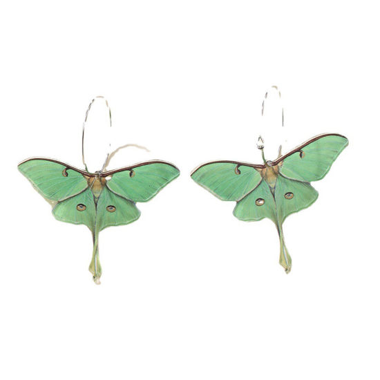 Picture of Acrylic Insect Earrings Green Moth 6.5cm x 5cm, 1 Pair