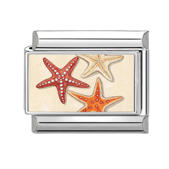 Picture of 1 Piece 304 Stainless Steel Exquisite Italian Charm Links For DIY Bracelet Jewelry Making Silver Tone Multicolor Rectangle Star Fish 10mm x 9mm