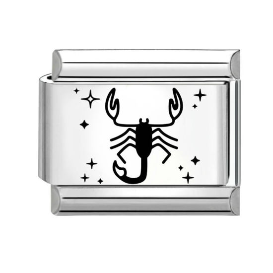Immagine di 1 Pz 304 Acciaio Inossidabile Squisito Bracciale con Charm Italiano a Maglie, Creazione di Gioielli Fai-da-te Tono Argento Nero Rettangolo Costellazione Scorpione 10mm x 9mm