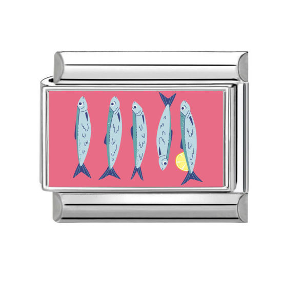 Image de 1 Pièce Bracelet à Maillons Breloques Italiens Accessories de Fabrication de Bracelets Bijoux DIY en 304 Acier Inoxydable Argent Mat Multicolore Rectangle Poisson 10mm x 9mm