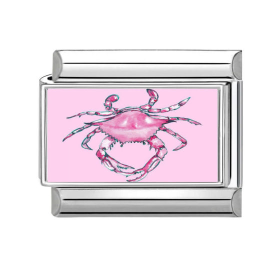 Image de 1 Pièce Bracelet à Maillons Breloques Italiens Accessories de Fabrication de Bracelets Bijoux DIY en 304 Acier Inoxydable Argent Mat Rose Rectangle Crabe 10mm x 9mm