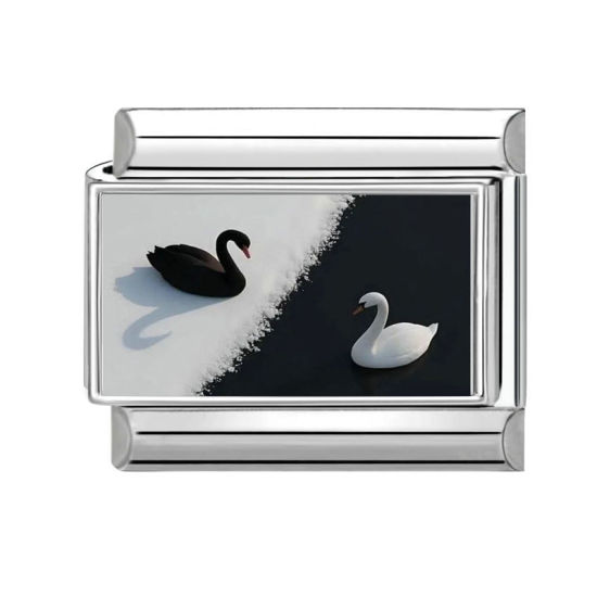 Image de 1 Pièce Bracelet à Maillons Breloques Italiens Accessories de Fabrication de Bracelets Bijoux DIY en 304 Acier Inoxydable Argent Mat Noir & Blanc Rectangle Cygne 10mm x 9mm