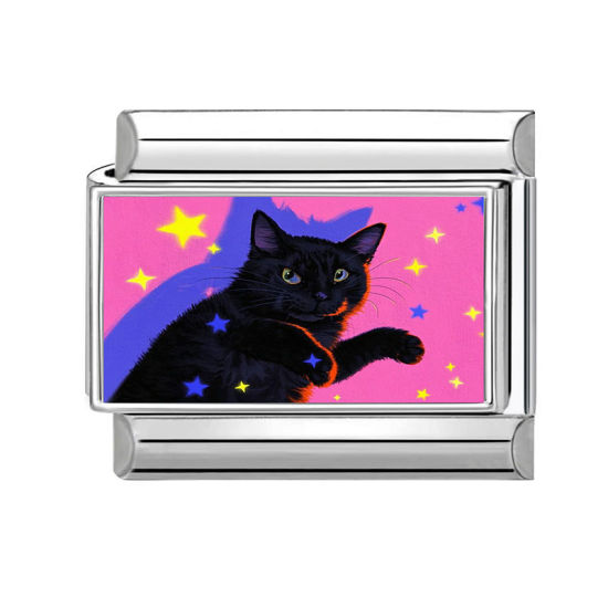 Imagen de 1 Unidad 304 Acero Inoxidable Charm Pulsera de Eslabones Italianos para Hacer Joyas DIY Al Por Mayor Tono de Plata Fucsia Rectángulo Gato 10mm x 9mm