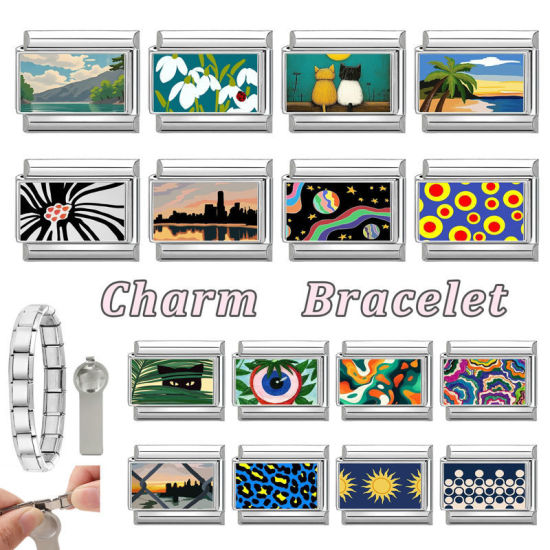 Image de 1 Pièce Bracelet à Maillons Breloques Italiens Accessories de Fabrication de Bracelets Bijoux DIY En Gros en 304 Acier Inoxydable Argent Mat Multicolore Rectangle Chats 10mm x 9mm