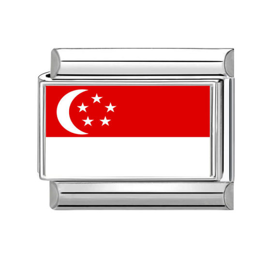 Imagen de 1 Unidad 304 Acero Inoxidable Charm Pulsera de Eslabones Italianos para Hacer Joyas DIY Al Por Mayor Tono de Plata Rojo Rectángulo Bandera de singapur 10mm x 9mm