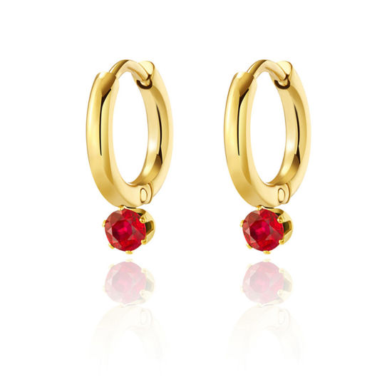 Immagine di 1 Paio Placcatura Sottovuoto Dolce & Carino Elegante Placcato Oro 14K 304 Acciaio Inossidabile & Zircone Cubico Tondo Orecchini Circolari Per Donne Compleanno 24mm x 20mm