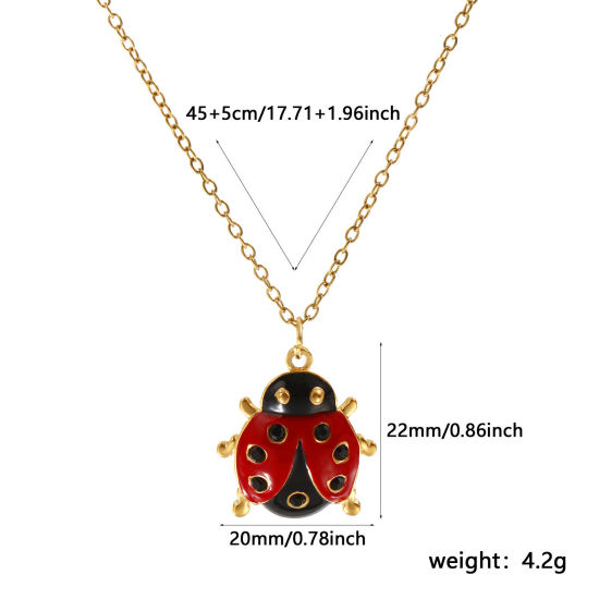 Изображение 18K настоящее золото с покрытием Кабельные Цепи Божья Коровка Ожерелье с подвеской, 304 Нержавеющая Сталь 45см + 5см, Для женщин, Черный Стразы Красный С Эмалью Насекомое Натуральная пастырская подарок, Экологичное вакуумное PVD-покрытие, 1 ШТ
