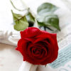 Picture of Faux Silk Artificial Flower Rose Flower White 45cm, 1 Piece