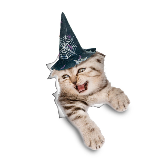 Picture of PVC Halloween 3D Home Decor Wall Decal Sticker Multicolor Cat Animal 23cm(9") x 15cm(5 7/8"), 1 Piece