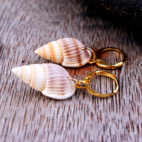Picture of Shell Earrings Gold Plated Brown Round Conch Sea Snail 1 Pair